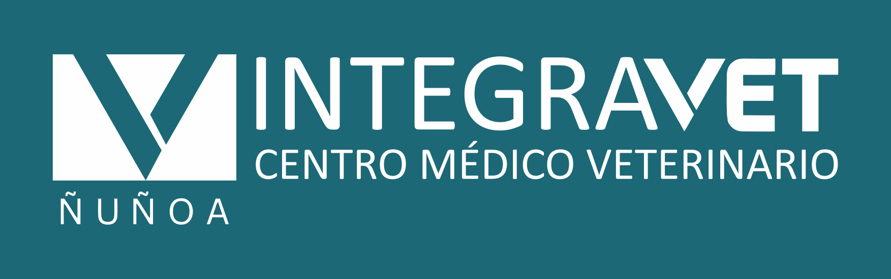 branding logo
