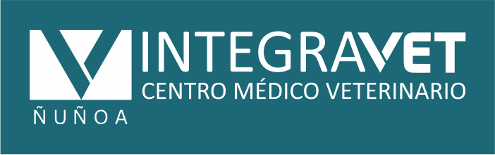 branding logo